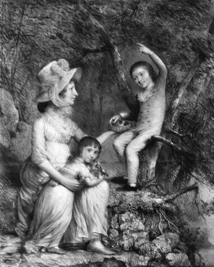 (illustration)